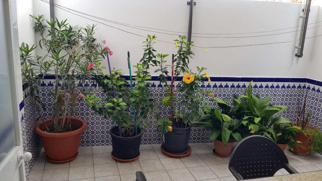 Apartamento Callejuela Las Flores Algodonales Ngoại thất bức ảnh